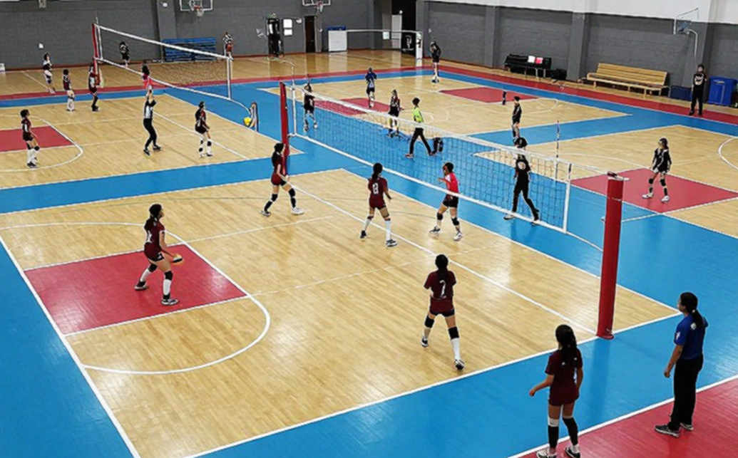 Bóng chuyền nữ Nam Mỹ: Brazil và Argentina đối đầu tại giải vô địch Nam Mỹ, mở màn cho hành trình hướng tới World Cup 2027 và Los Angeles 2028
