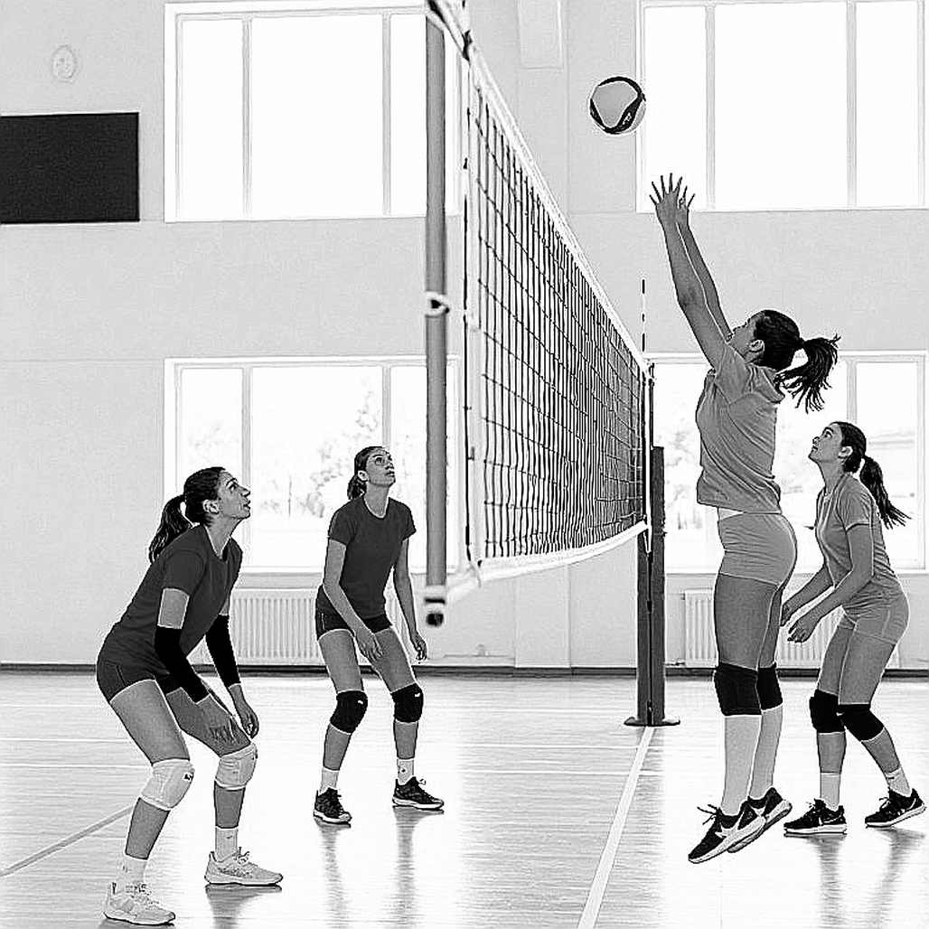 Vòng loại Olympic và cú lừa mang tên dữ liệu: Bóng chuyền chuyên nghiệp đang tự che mắt mình